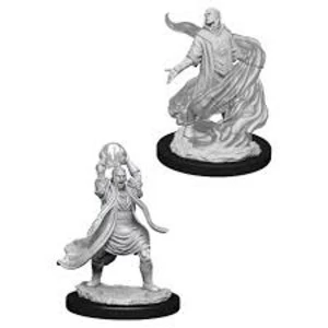 Dungeons & Dragons Nolzur's Marvelous Unpainted Miniatures (W11) Male Elf Sorcerer