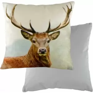 Evans Lichfield - Stags Head Chenille Faux Velvet Cushion Cover, Multi, 43 x 43 Cm