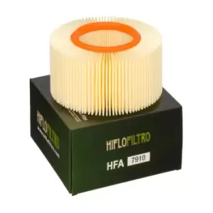 HIFLOFILTRO Air Filter - HFA7910 BMW