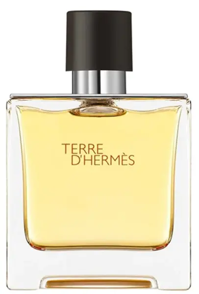 Hermes Terre D'Hermes Eau de Parfum For Him 75ml