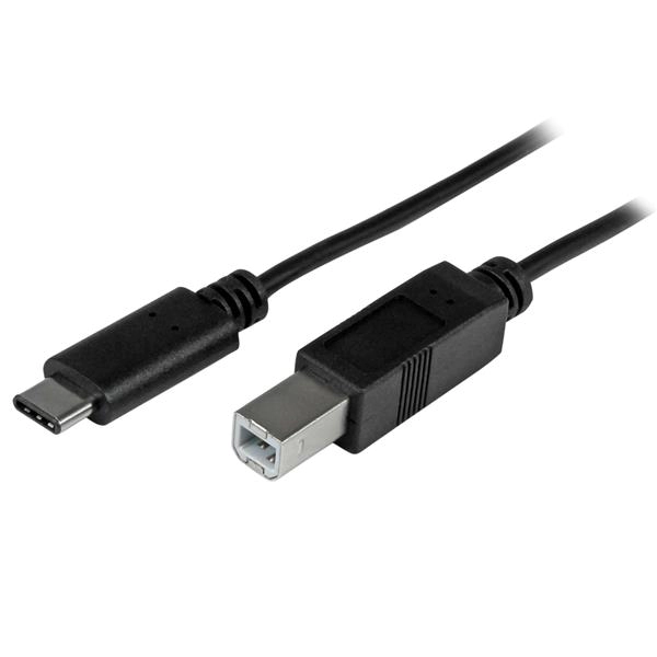 StarTech USB C to USB B Cable MM 2m 6 ft. USB 2.0