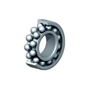 1305 ETN9/C3 - Self-aligning Ball Bearing