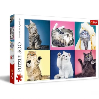 Kittens Jigsaw Puzzle - 500 Pieces