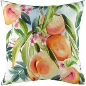 Evans Lichfield - Fruit Peaches Watercolour Print Cushion Cover, Multi, 43 x 43 Cm