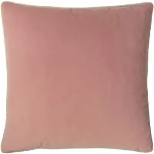 Cohen Velvet Cushion Blush - Blush - Furn.