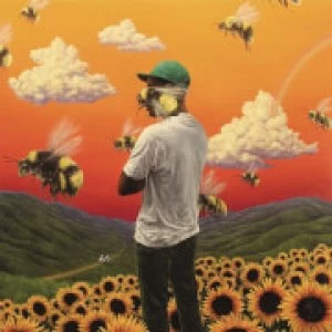 Tyler The Creator - Flower Boy 2 LP