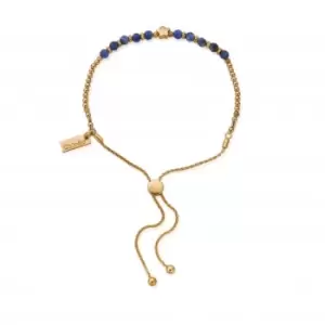 Gold Midnight Star Sodalite Adjustable Bracelet GBASFB