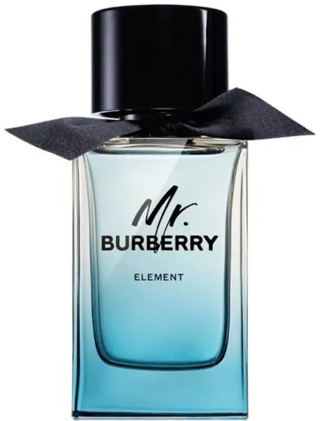 Burberry Mr Burberry Element Eau de Toilette For Him 150ml