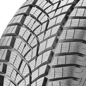 Goodyear UltraGrip Performance GEN-1 (245/50 R19 105V)