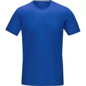 Elevate Mens Balfour T-Shirt (L) (Blue)