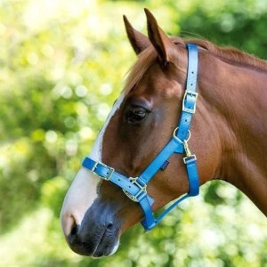 Shires Pro Adjustable Headcollar - Blue