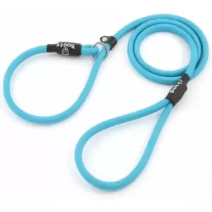 Strong Nylon Slip On Rope Dog Puppy Pet Lead Leash - No Collar Needed - Light Blue - Large - Bunty