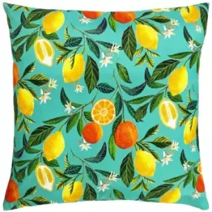 Evans Lichfield Orange Blossom Square Outdoor Cushion Cover (One Size) (Multicoloured)