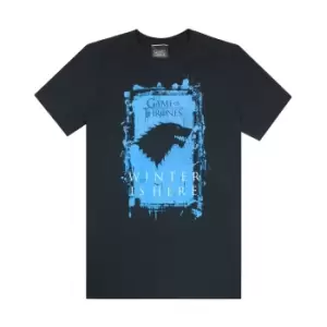 Game of Thrones Mens Winter Is Here T-Shirt (S) (Black)