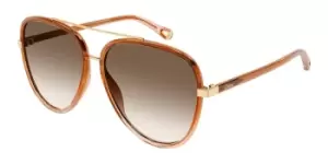 Chloe Sunglasses CH0129S 002