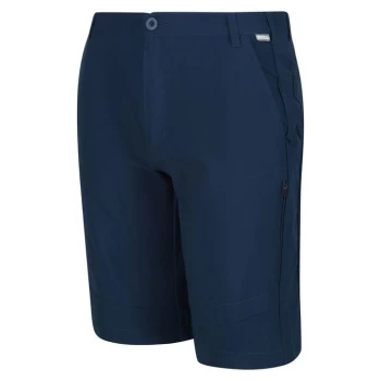 Regatta Highton Long Shorts - Blue