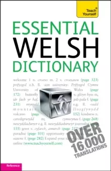 Essential Welsh Dictionary: Teach Yourself