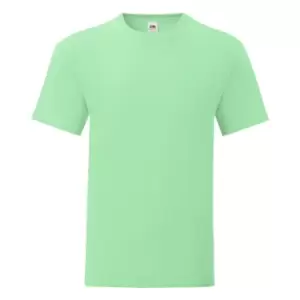 Fruit Of The Loom Mens Iconic T-Shirt (XXL) (Neo Mint)