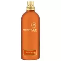 Montale Aoud Melody Eau de Parfum Unisex 100ml