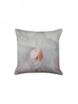 Ted Baker Cotton Candy Feather Filled Cushion