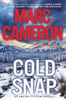 Cold Snap : An Action Packed Novel of Suspense