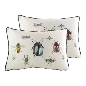 Eden Insects Twin Pack Polyester Filled Cushions