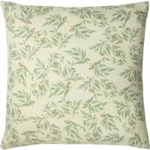 Paoletti - Hawley Botanical Cushion Sage - Sage