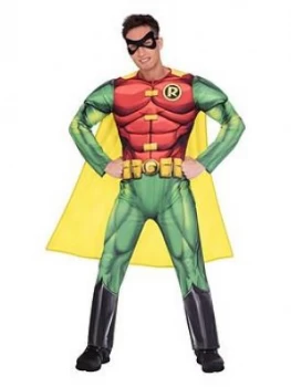 Mens Robin Costume