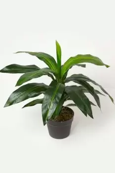 Artificial Dracaena Fragrans Dragon Tree in Pot, 65cm Tall