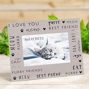 6" x 4" - Best of Breed Glass Photo Frame - Cat