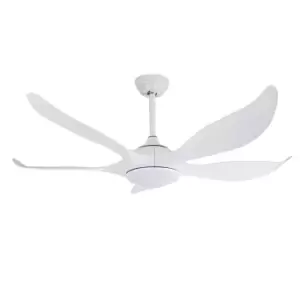 Noro 5 Blade DC LED Ceiling Fan 20W CCT White