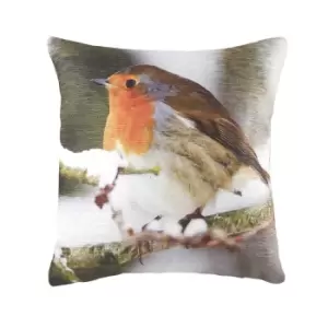 Evans Lichfield Robin Cushion Cover (One Size) (Multicoloured)