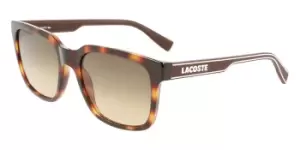 Lacoste Sunglasses L967S 230