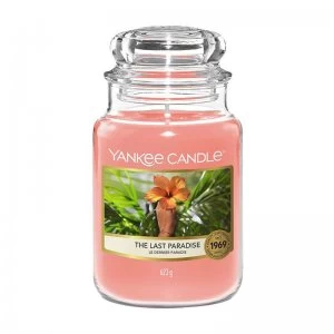 Yankee Candle Last Paradise Large Candle