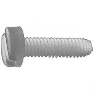 Toolcraft Slotted Cheese Head Screws DIN 84 Polyamide M5 x 50mm Pa...