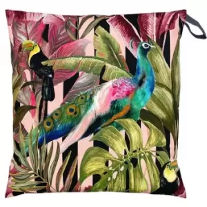 Evans Lichfield Toucan And Peacock Outdoor Cushion Cover (43cm x 43cm) (Multicoloured)