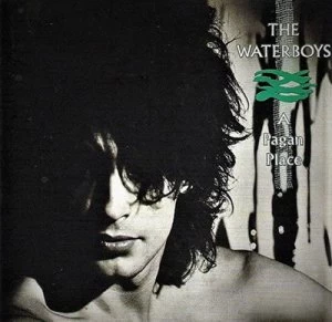 A Pagan Place by The Waterboys CD Album