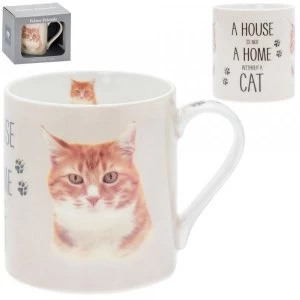 Fine China Ginger Cat Mug By Lesser & Pavey