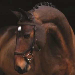 Rambo Micklem Original Competition Bridle - Dark Havana