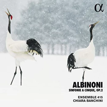 Albinoni, T. - Albinoni: Sinfonie a Cinque, Op. 2 CD