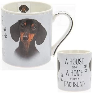 Fine China Dachshund Mug By Lesser & Pavey