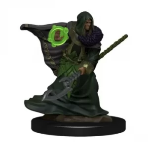 D&amp;D Icons of the Realms Premium Figures (W4) Elf Druid Male