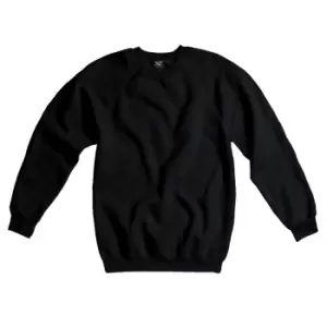 SG Mens Raglan Sleeve Crew Neck Sweatshirt (S) (Black)