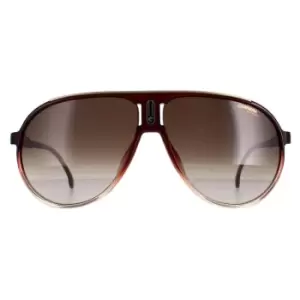 Aviator Burgundy Shade Brown Gradient Champion 65/N