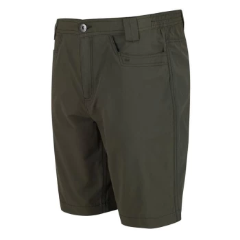 Regatta Delgado Shorts - Green