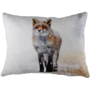 Evans Lichfield Fox Winter Cushion Cover (One Size) (Multicoloured)