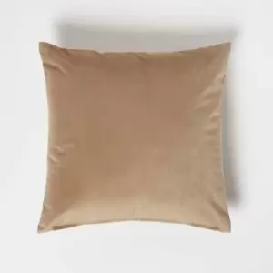 Homescapes - Beige Velvet Cushion, 45 x 45cm - Beige