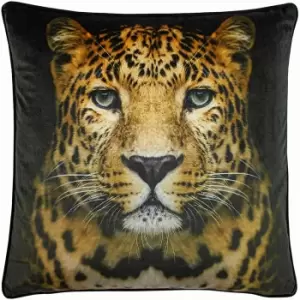 Paoletti Portrait Cushion Cover (One Size) (Black)