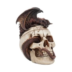 Draconic Craniotomy Skull Figure