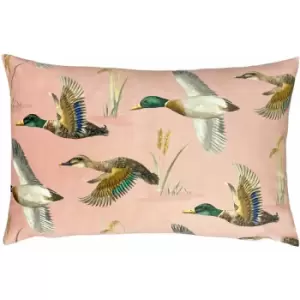 Evans Lichfield - Country Duck Pond Print Cushion Cover, Blush, 40 x 60 Cm